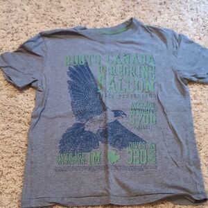 Roots Gray T-Shirt with Green Falcon Graphic